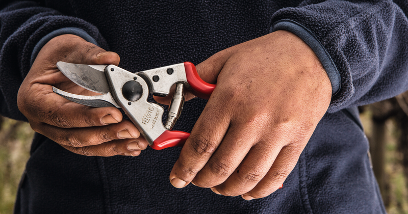 Felco 16 Pruning Shears (Left-Handed)