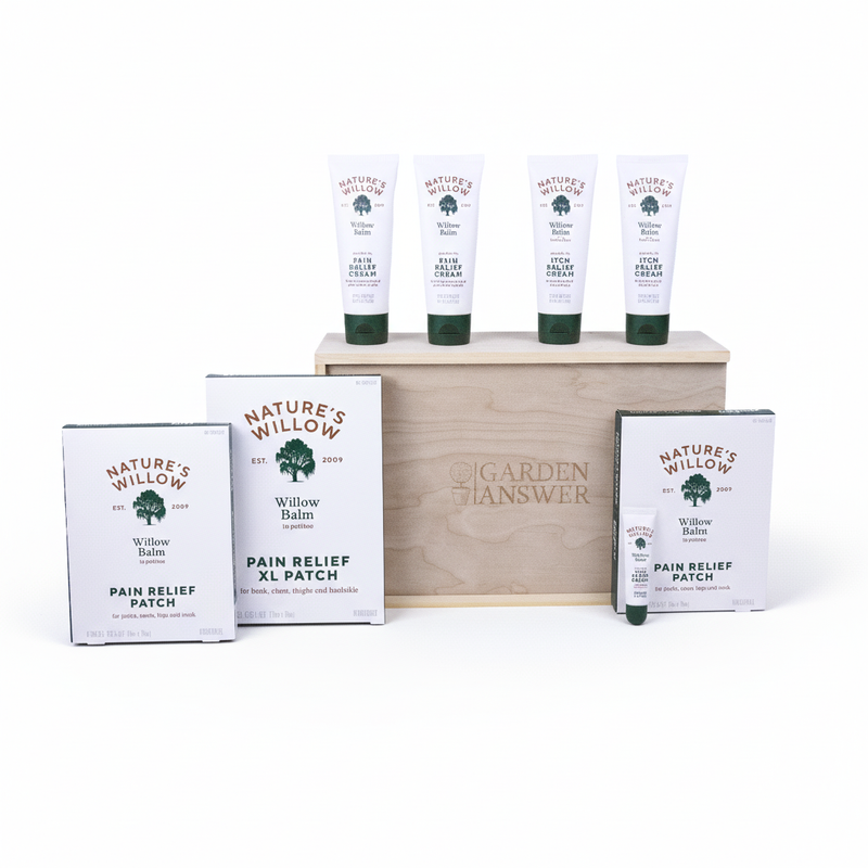 Natures Willow Gift Box
