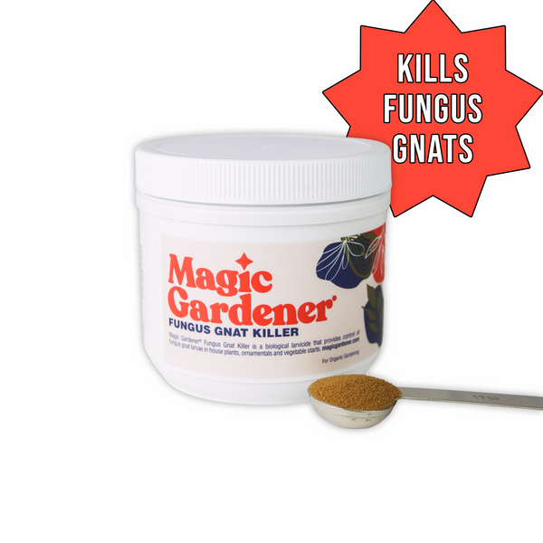 killing fungus gnats indoor plants Fungus Gnat Killer by Magic Gardener — Garden Answer