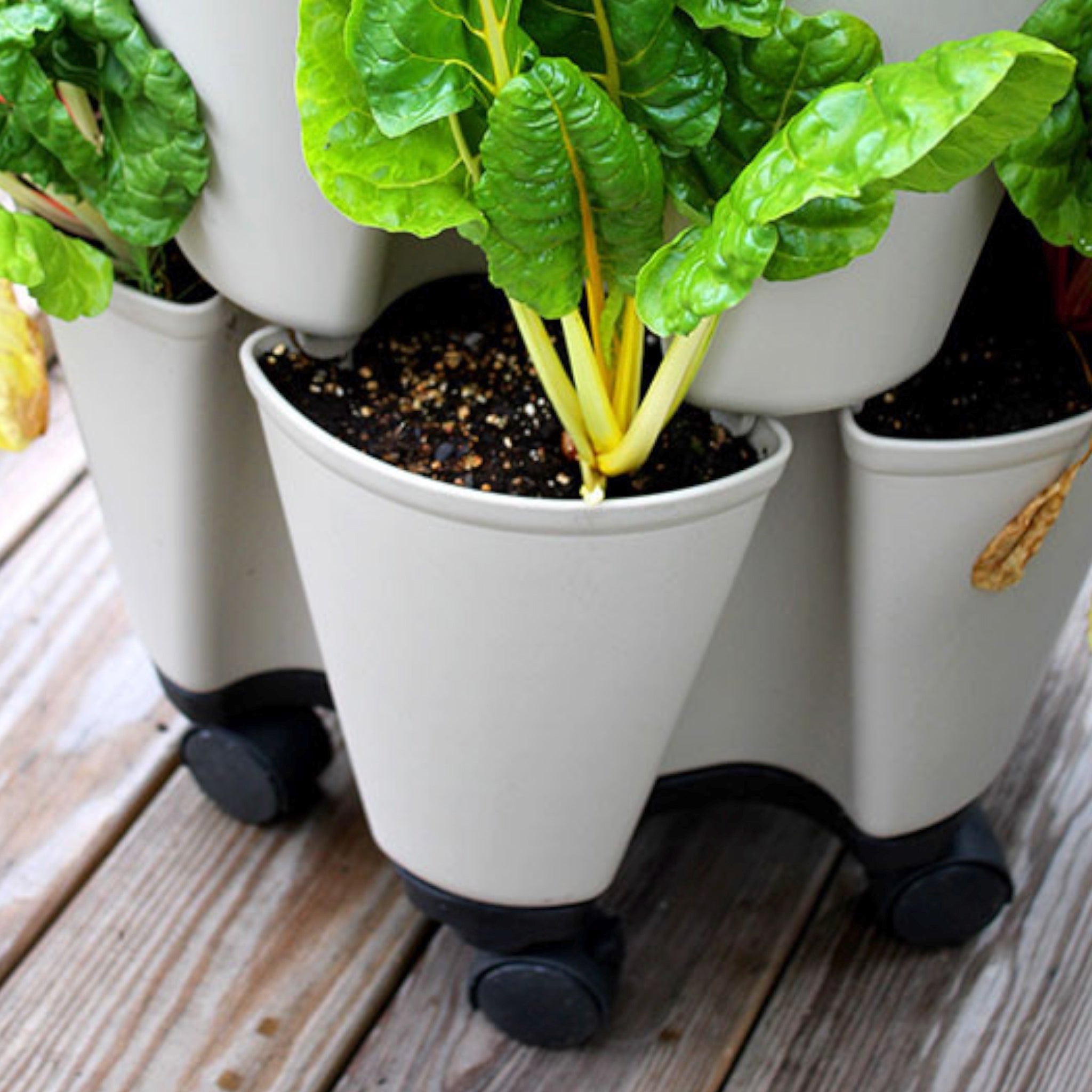 【GRASS.S】TTW Mill Stand GreenStalk Mover – Garden Answer