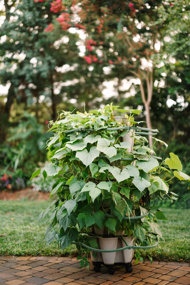Garden Mover