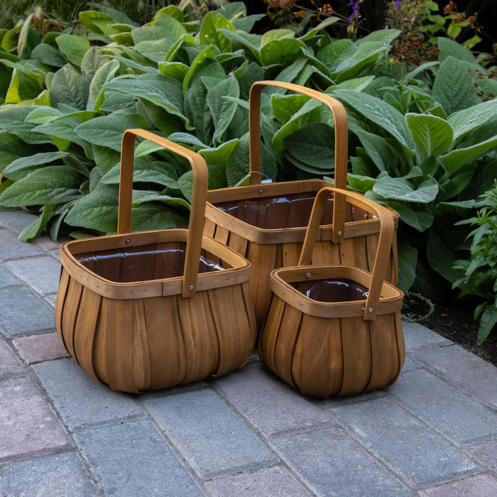 Classic Beauty Harvest Basket Set