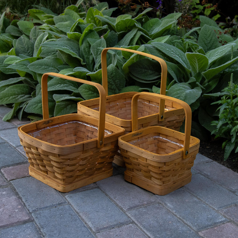 Adorable Harvest Basket Set