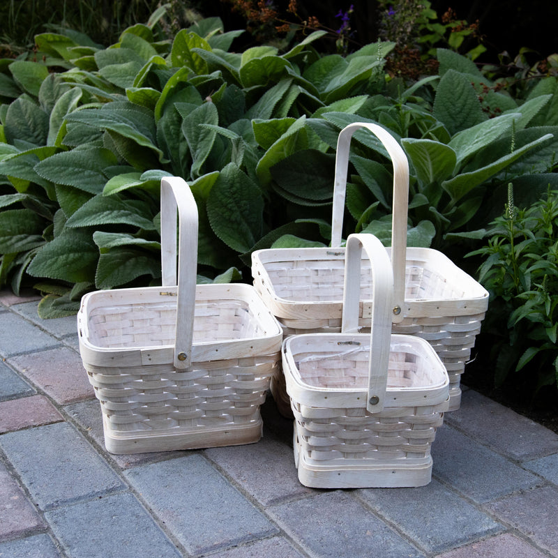 Adorable Harvest Basket Set