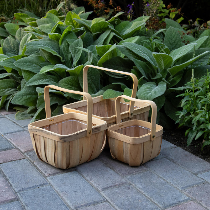 Blond Birch Basket Set