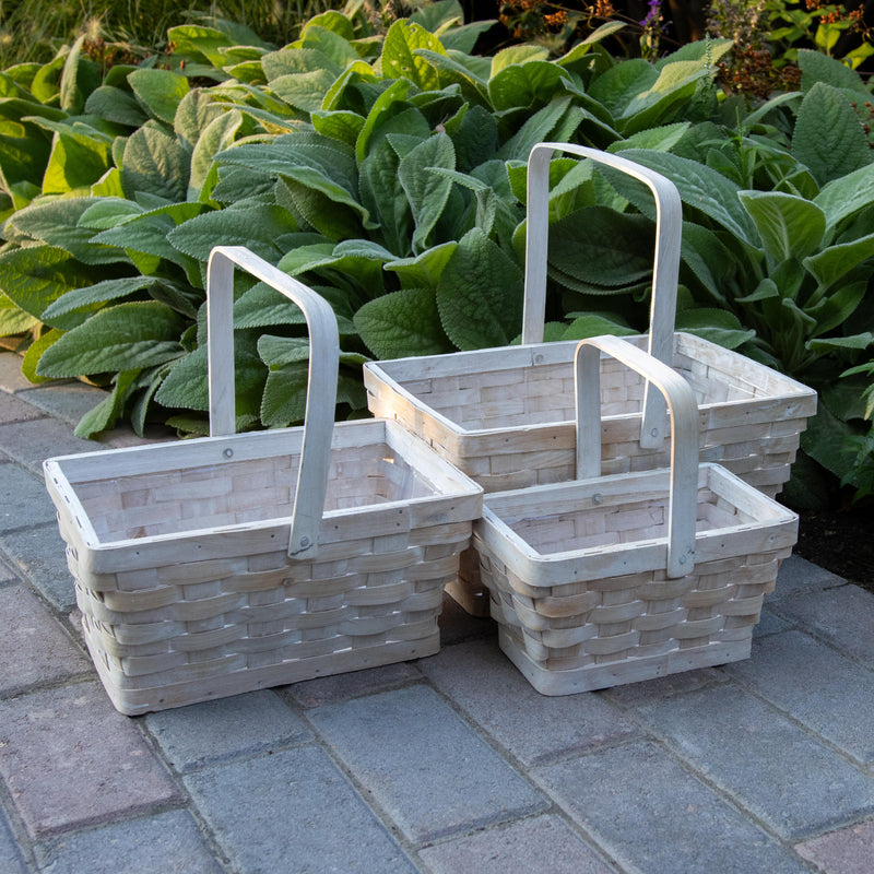 Timeless Rectangular Basket Set