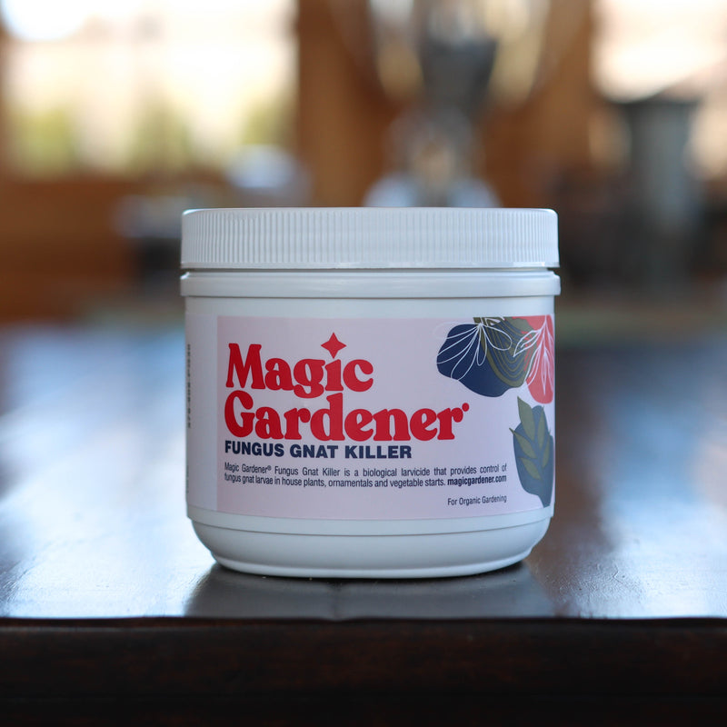 best fungus gnat killer for indoor plants Magic Gardener 4oz Fungus Gnat Killer