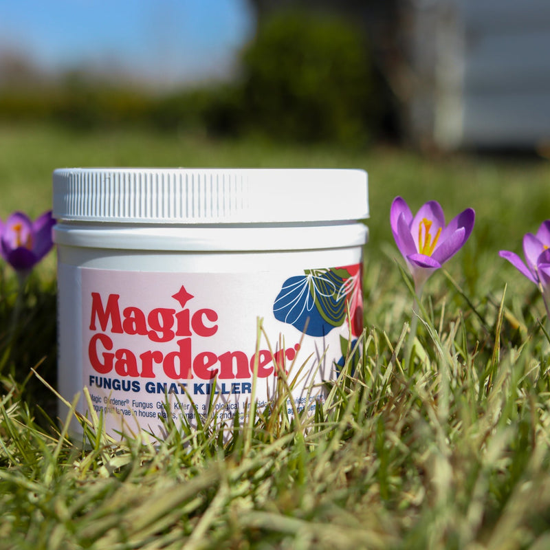 best fungus gnat killer for indoor plants Magic Gardener 4oz Fungus Gnat Killer