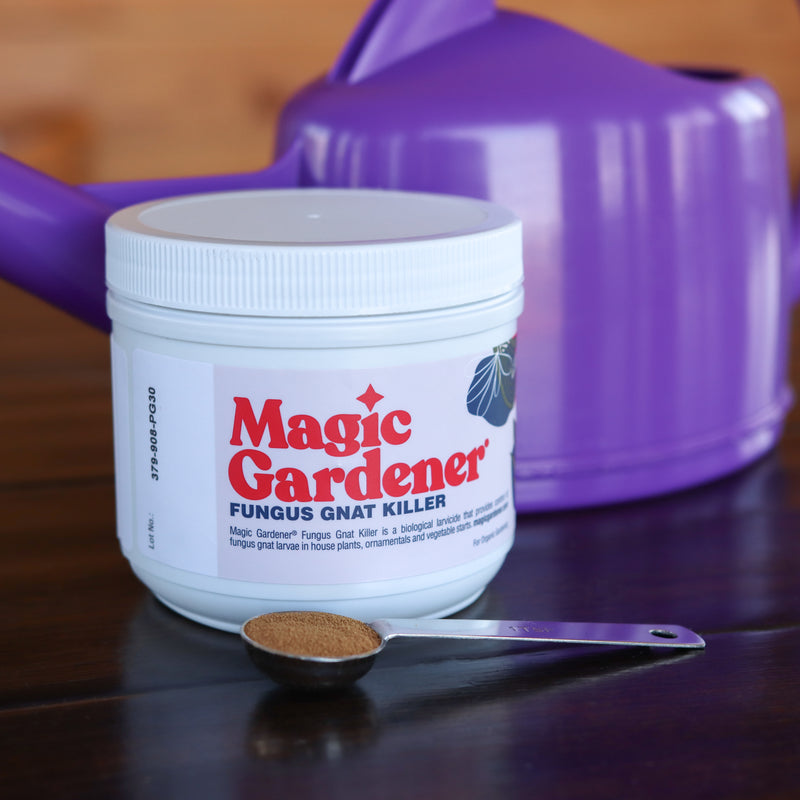 house plant fungus gnat killer Magic Gardener 4oz Fungus Gnat Killer