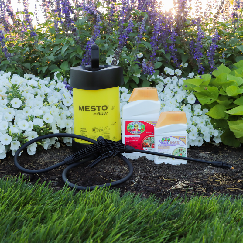 Spider Mite Bundle