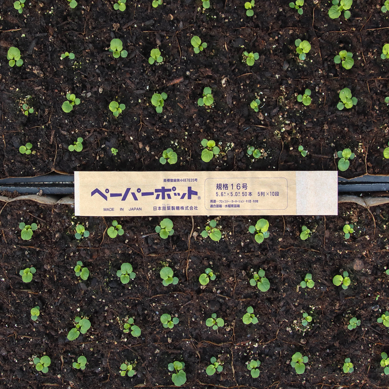 50 Cell Paper Pots (12x24")