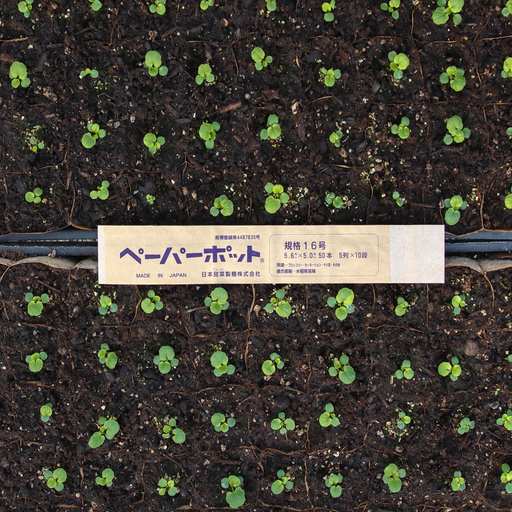 japanese paper pot planter 50 Cell Paper Pots (12x24") — Garden Answer