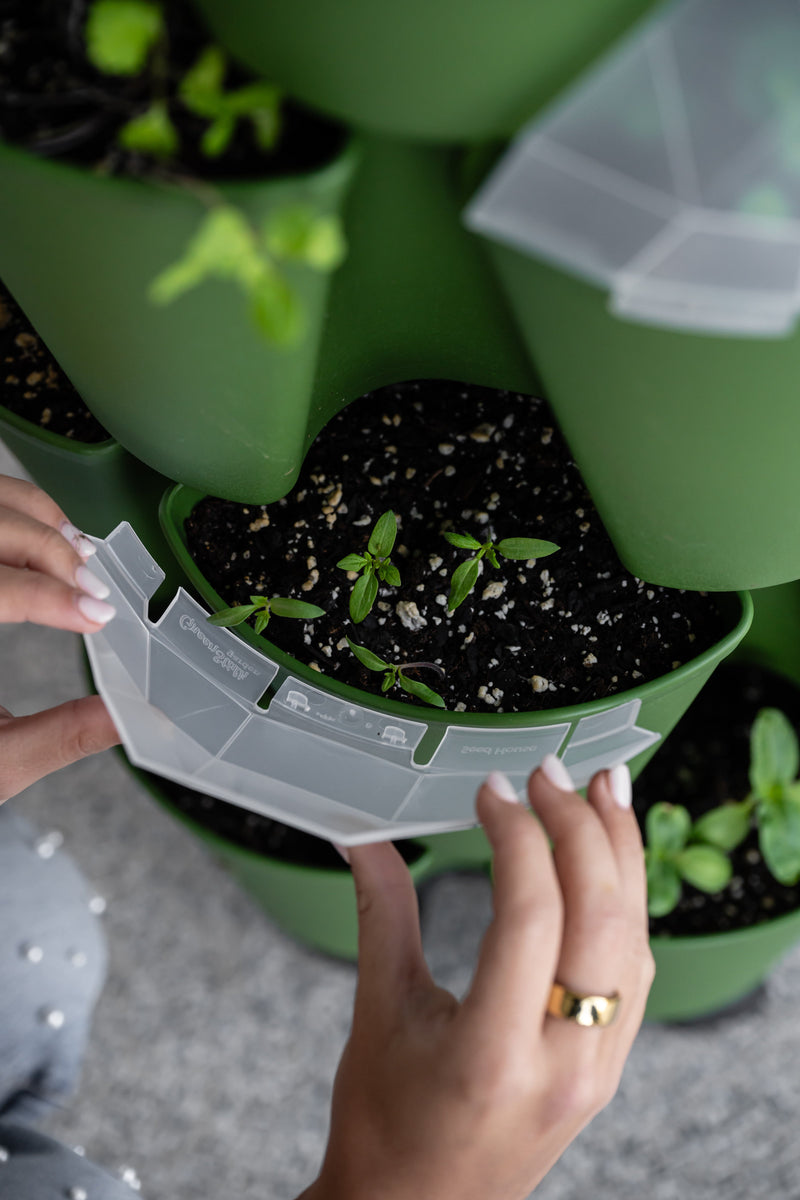 GreenStalk Bestselling Accessory Bundle 