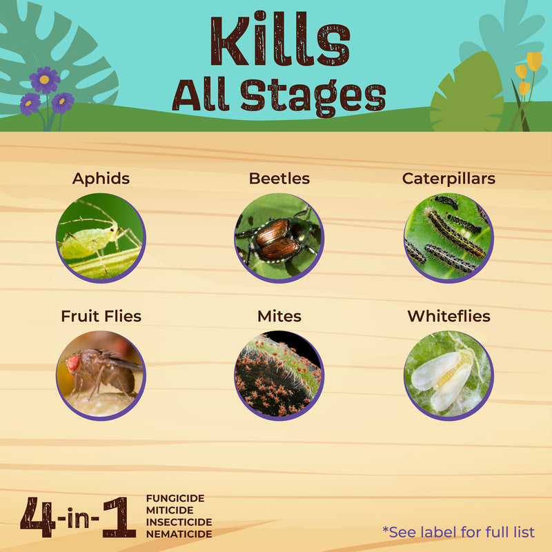 a picture of what neem max kills and text sayin it kills in all stages