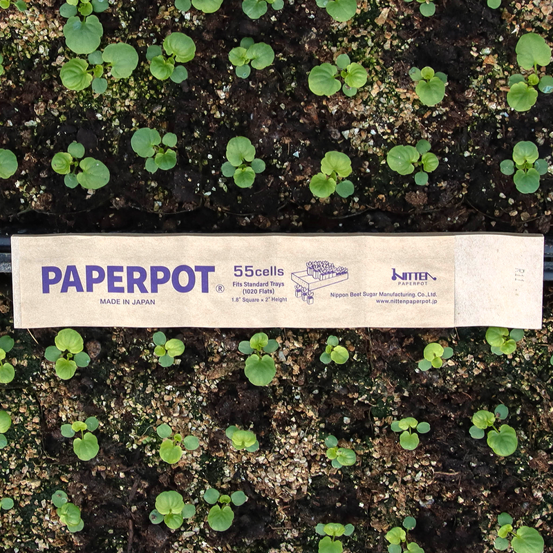 paper pot planting system 55 Cell Paper Pots (10x20") — Garden Answer
