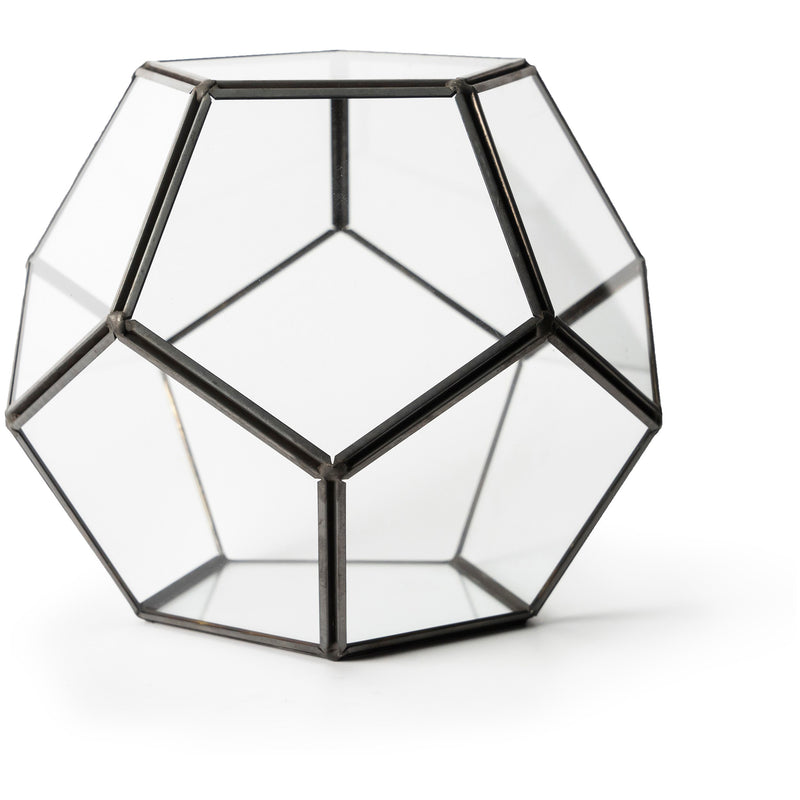 SuperMoss Dome Terrarium