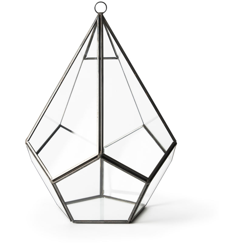 SuperMoss Hanging Teardrop Terrarium