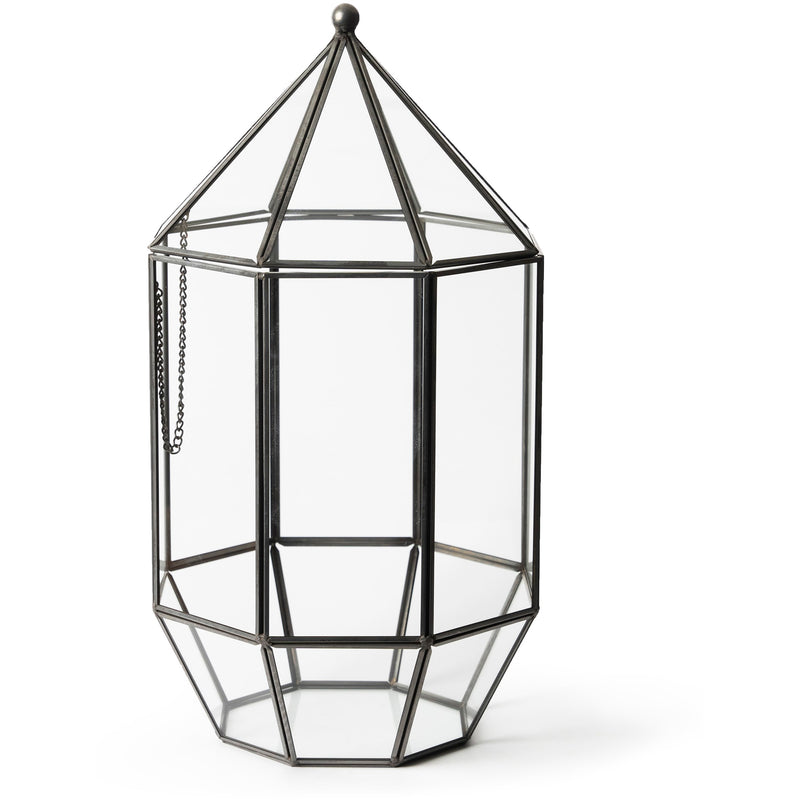 SuperMoss Classic Greenhouse Terrarium