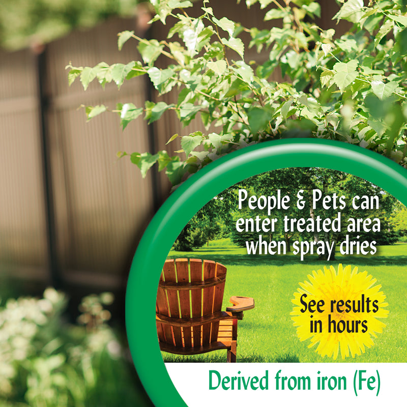 Garden with promotional text in a garden setting