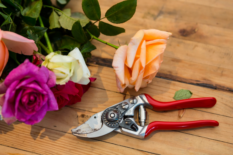 Felco 14 Pruning Shears (For Small Hands)