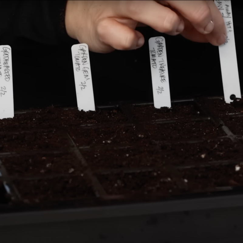 Luster Leaf Plant Labels 6"