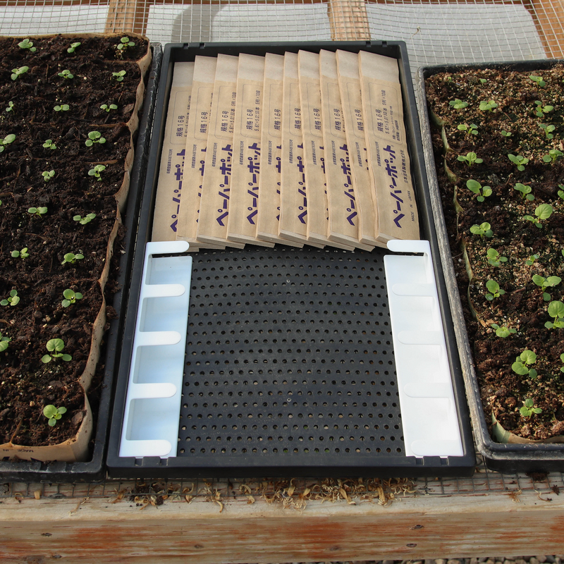 Nursery Tray (12x24")