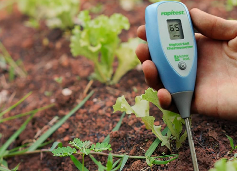 Luster Leaf® Rapitest® Digital Soil Thermometer