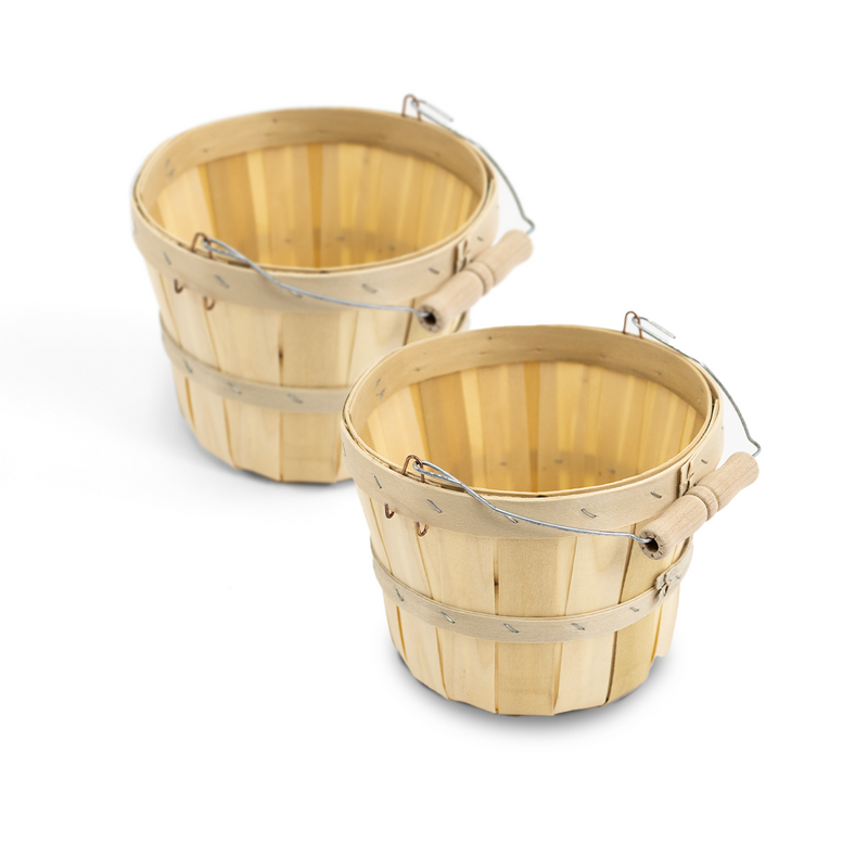Small Harvest Baskets with Carry Handle (Set of 2)