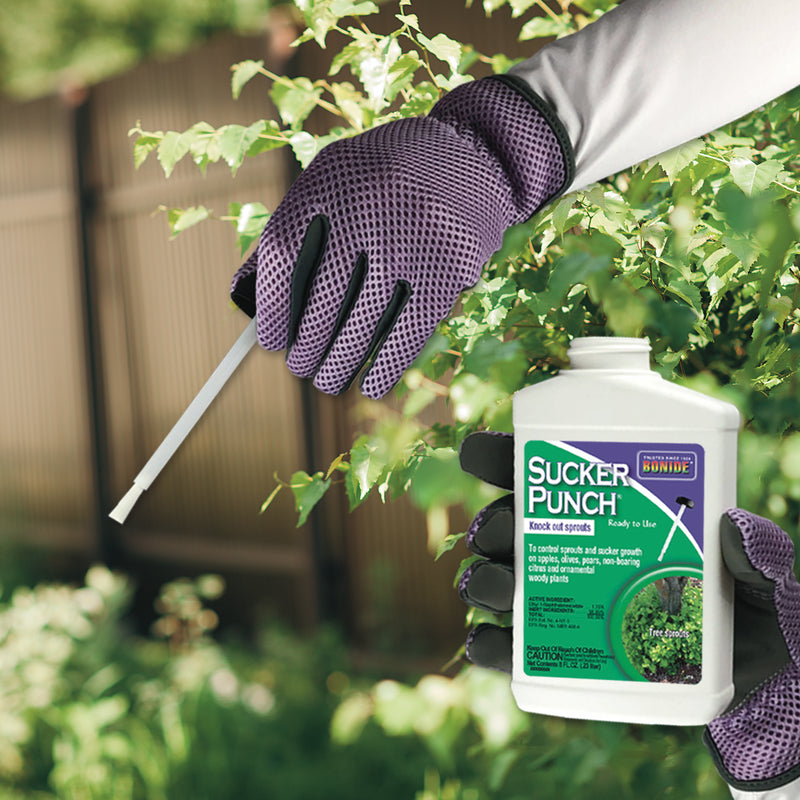 Bonide Sucker Punch RTU 8 oz