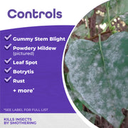 Image with what all seasons controls