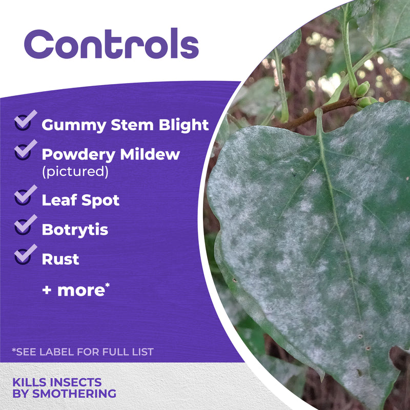 Image with what all seasons controls