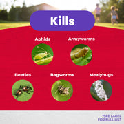 image with the insects that eight insect kills