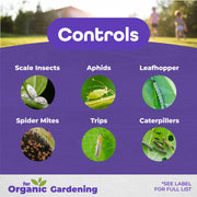 Image with pictures of the insects that all seasons controls