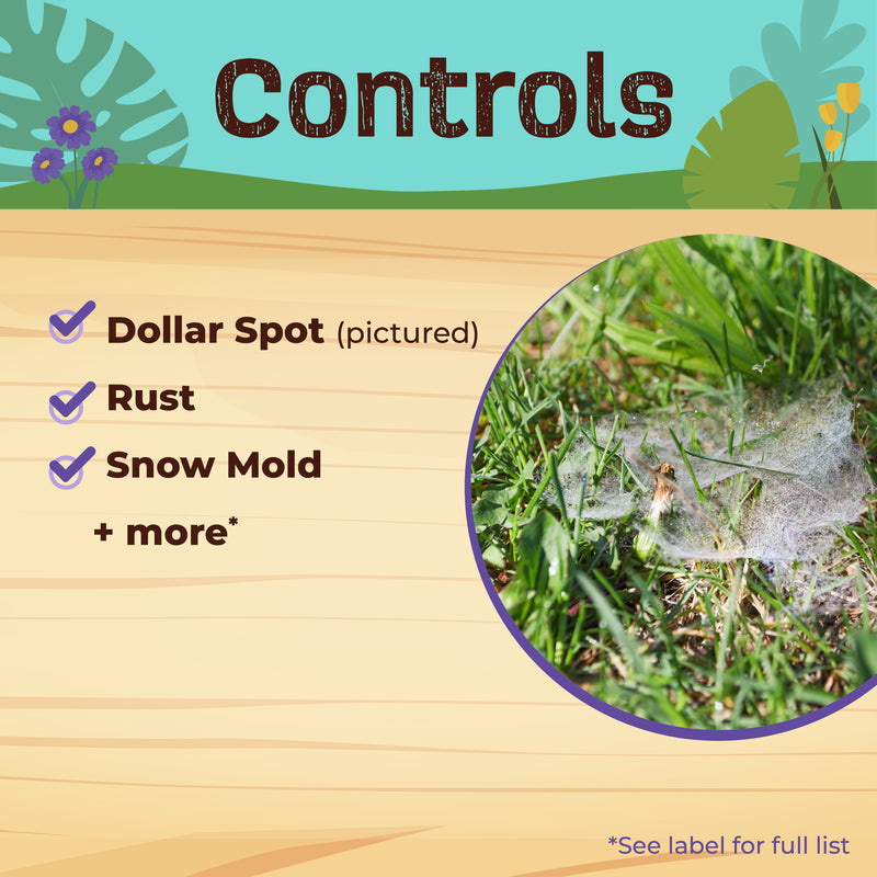 Educational graphic about lawn disease controls with a close-up of grass showing dollar spot.