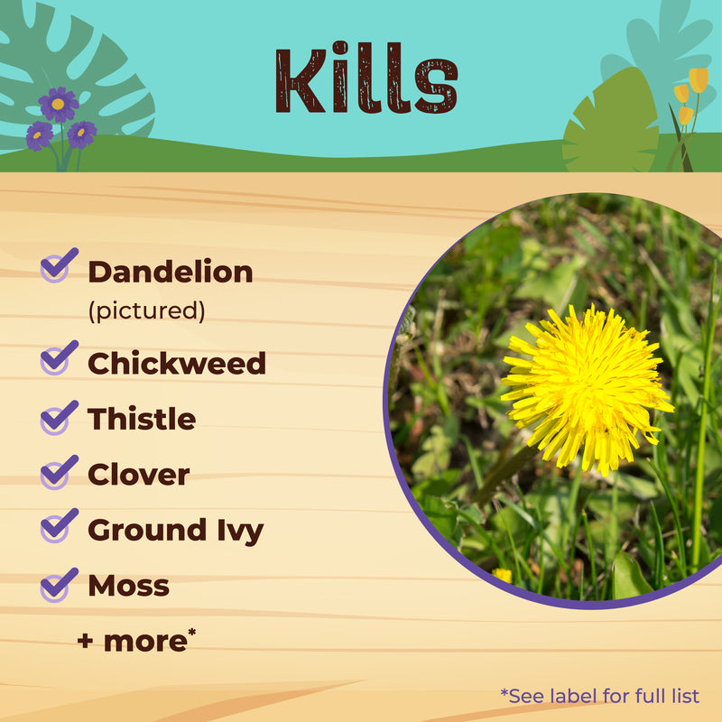 Herbicide product information with list of killed plants and image of dandelion.