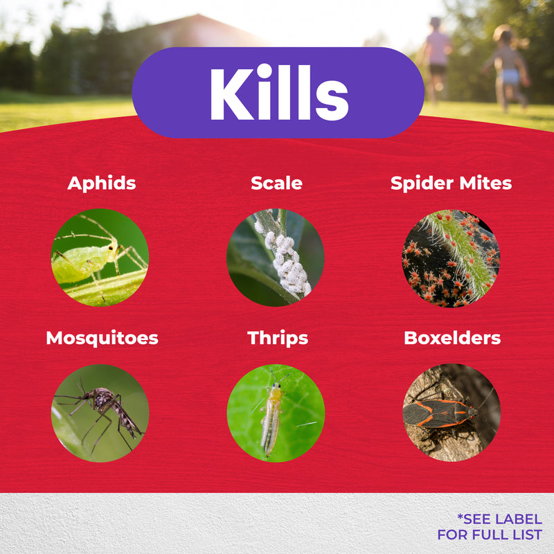Image with insects that malathion kills