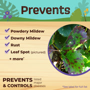 A picture of what neem max prevents with a list of diseases