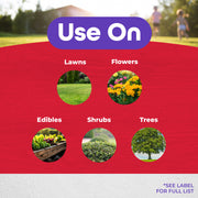 images with what to use eight insect on