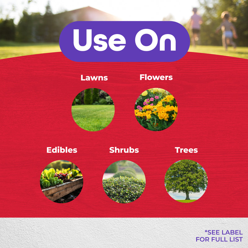 images with what to use eight insect on