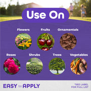 Image with pictures of the things you can use all seasons on