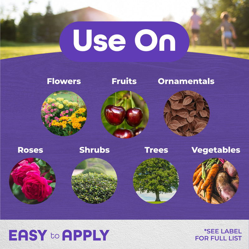 Image with pictures of the things you can use all seasons on