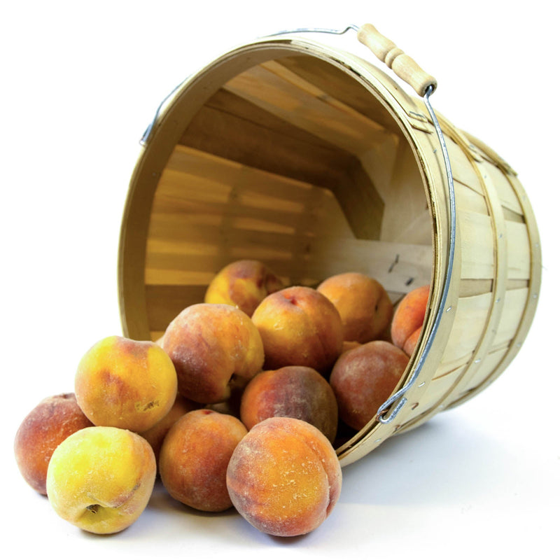 Large Harvest Baskets with Carry Handle (Set of 2)