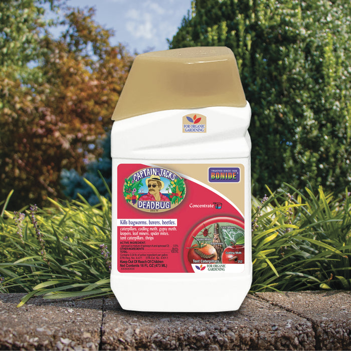 Captain Jack's DeadBug Brew Concentrate 32 oz