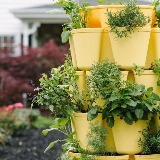 7 Tier GreenStalk Leaf Vertical Planter | Lemon (Basic Texture) 