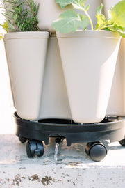 GreenStalk Bestselling Accessory Bundle 