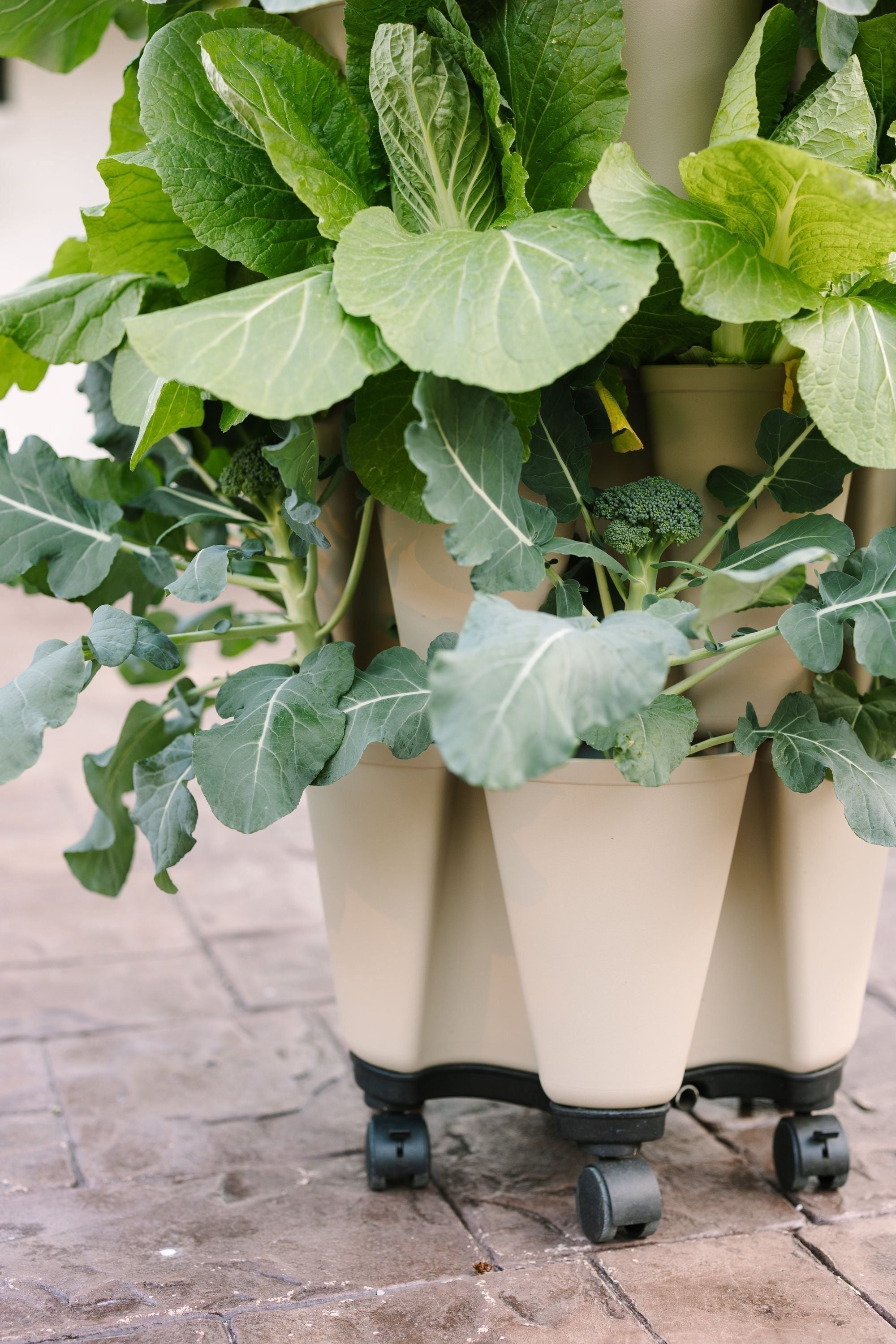 GreenStalk Vertical Planter Mover Base - Thumbnail 5