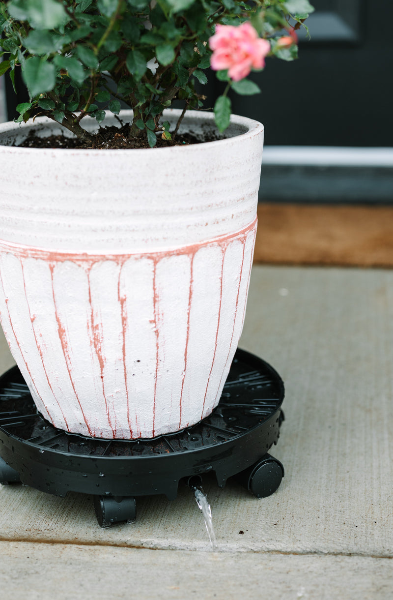 GreenStalk Ultimate Spinner With Wheel Kit