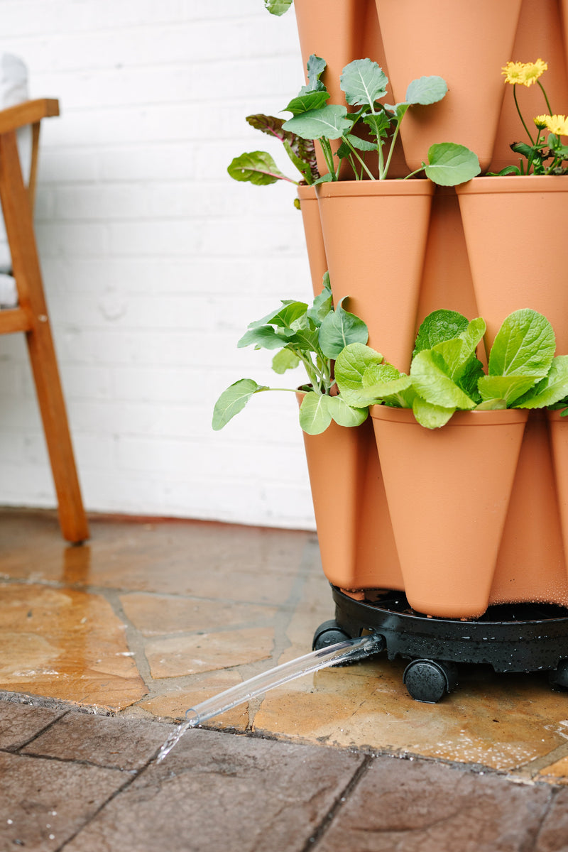 GreenStalk Ultimate Spinner With Wheel Kit