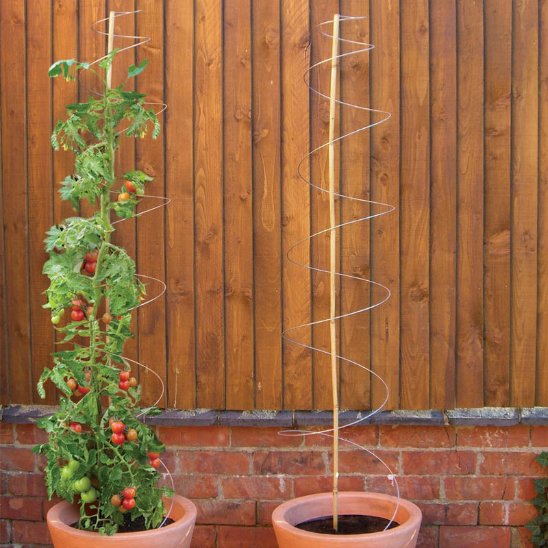 Twisters Extendable Plant Supports (Set of 3)