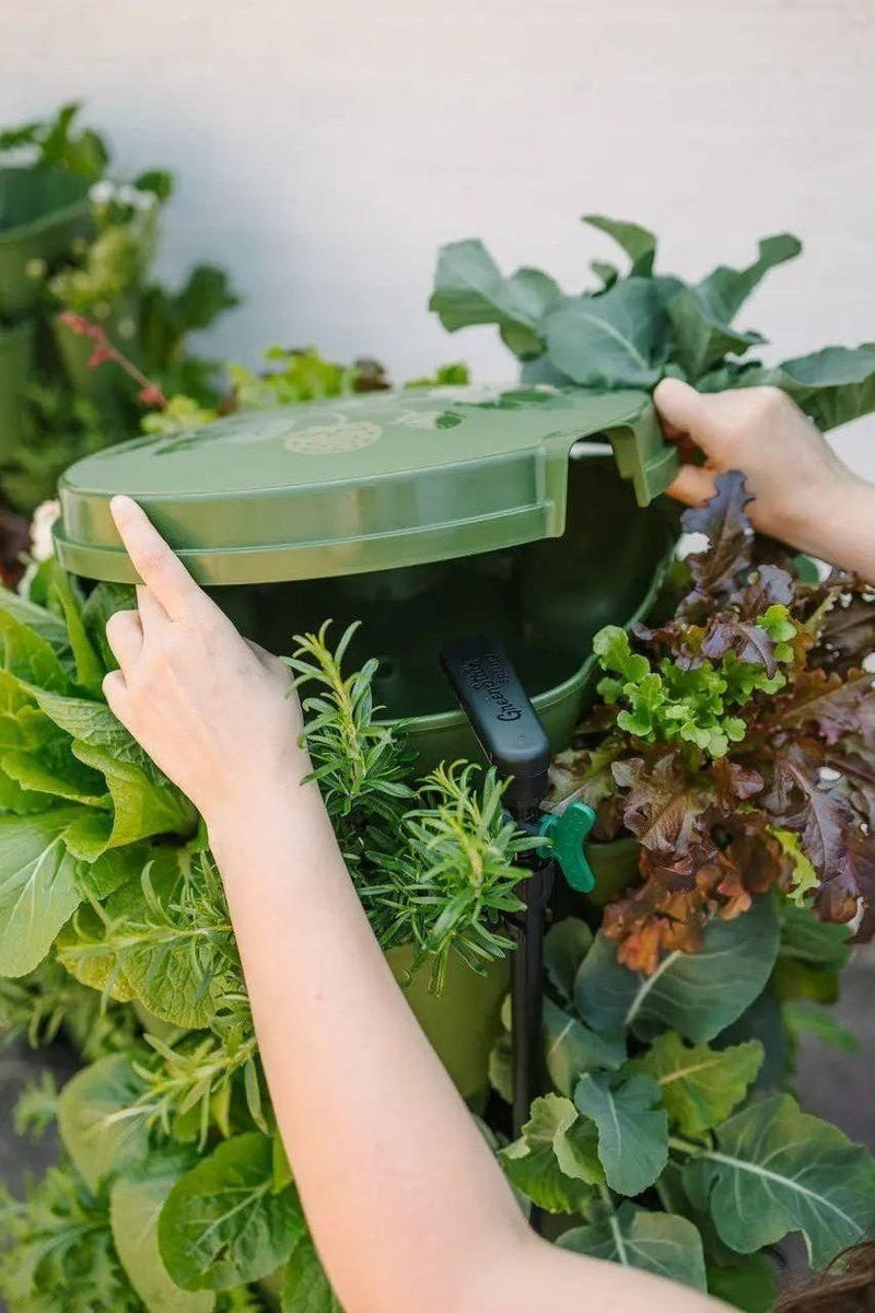 GreenStalk Watering System